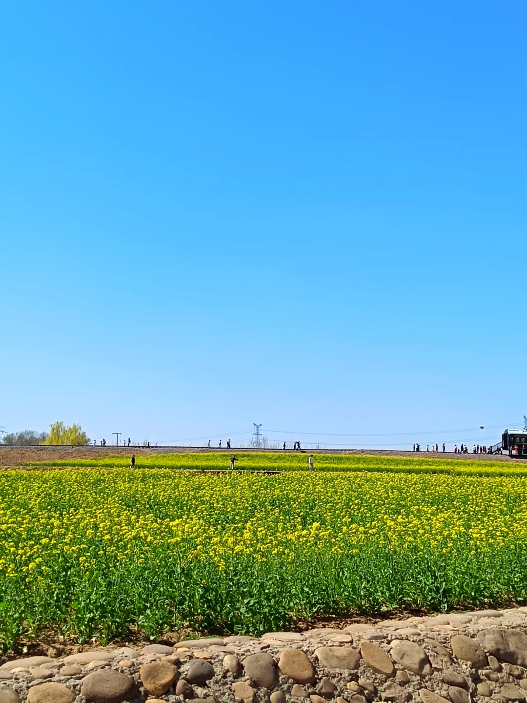 这不是婺源，这是邢台沙河红薯岭
