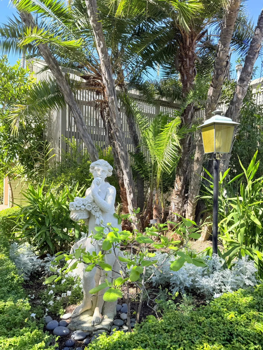 尔湾周边景点｜在Newport花的最值的5刀🌼