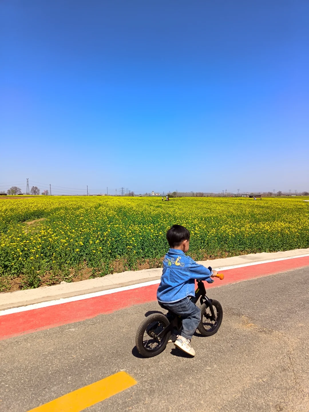 这不是婺源，这是邢台沙河红薯岭