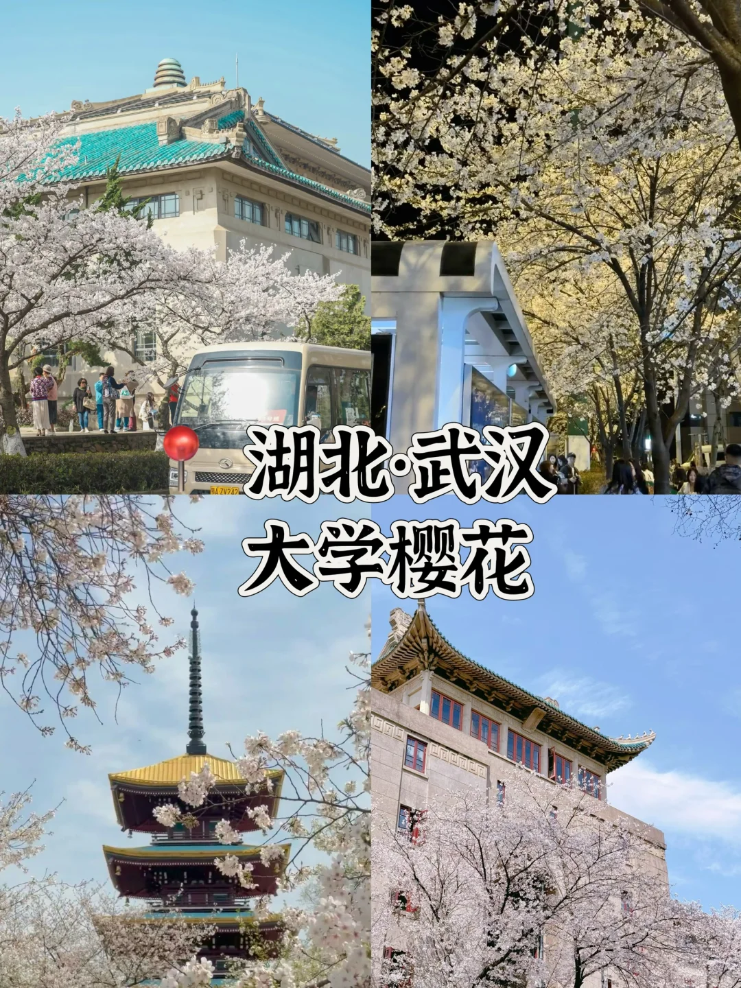 听劝‼️3-5月旅游一定来这🔟个城市感受春天