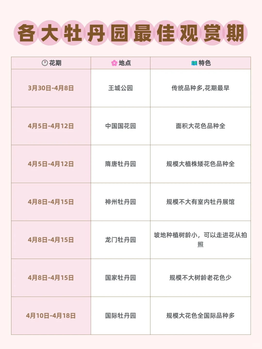 终于弄明白洛阳怎么玩不绕路‼️（附赏花攻略