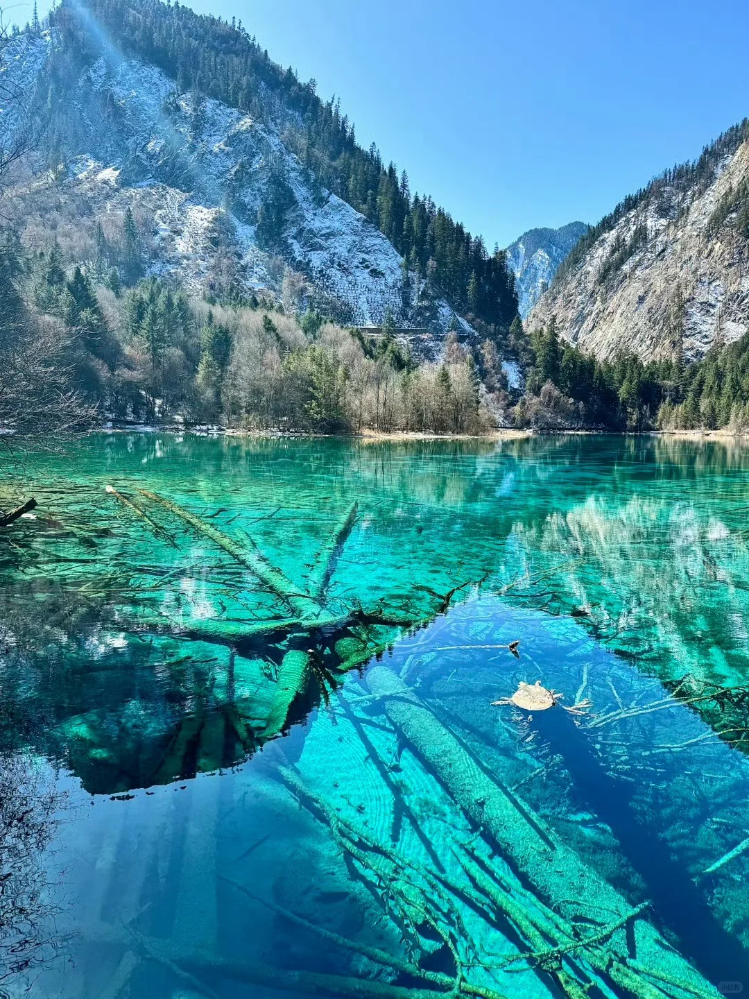 3.2📍九寨沟已回❗live实况➕真心建议❤