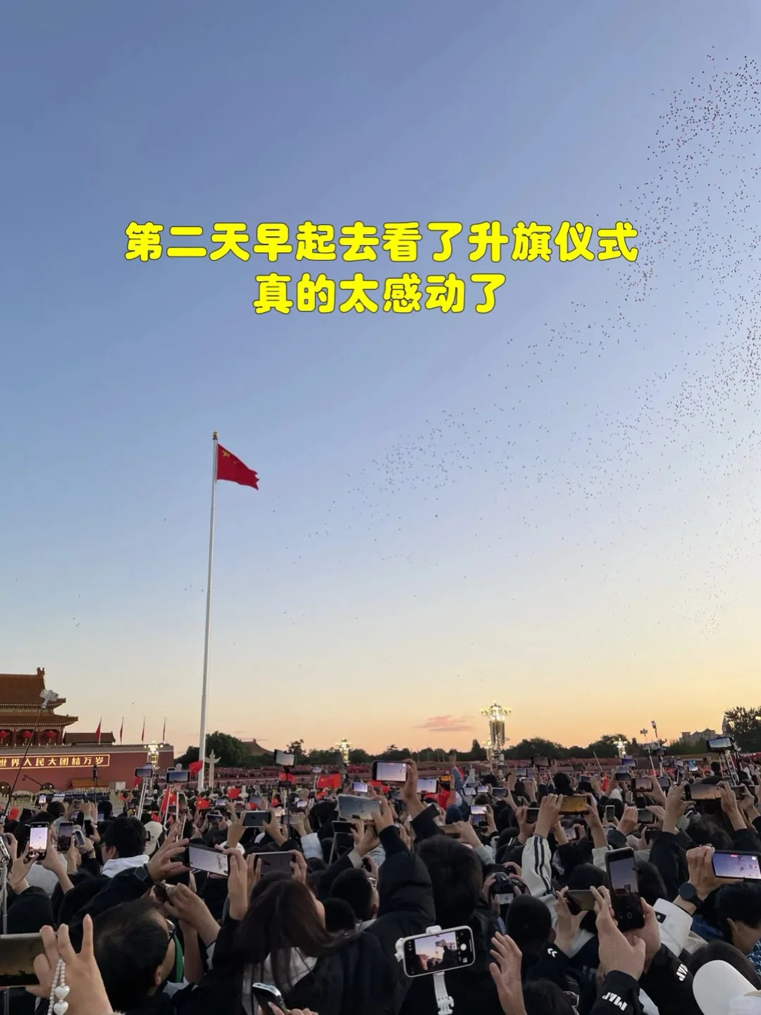 一起带爸妈去旅行吧✈️✈️