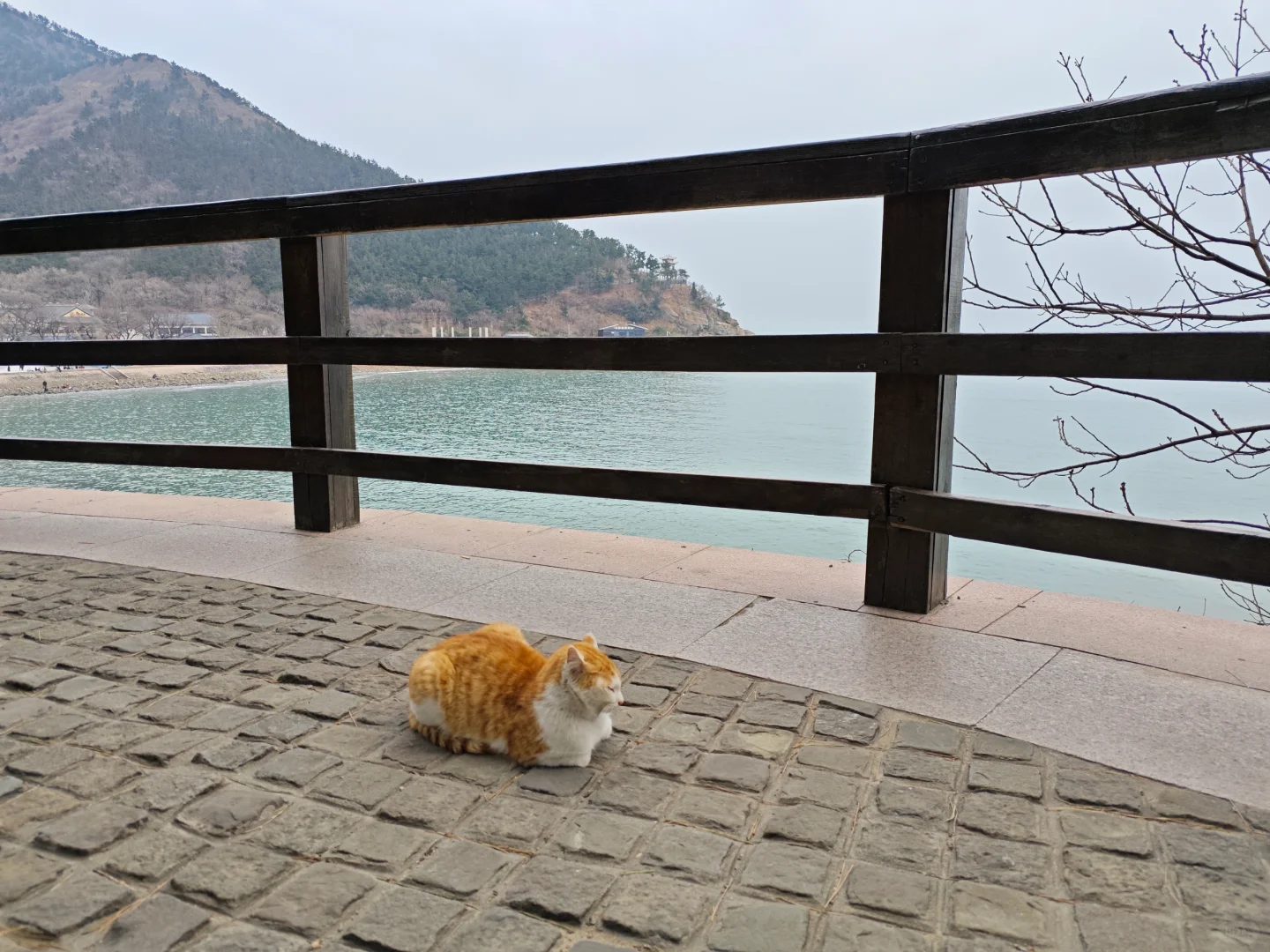 大自然真的是鬼斧神工，一切都完美的刚刚好