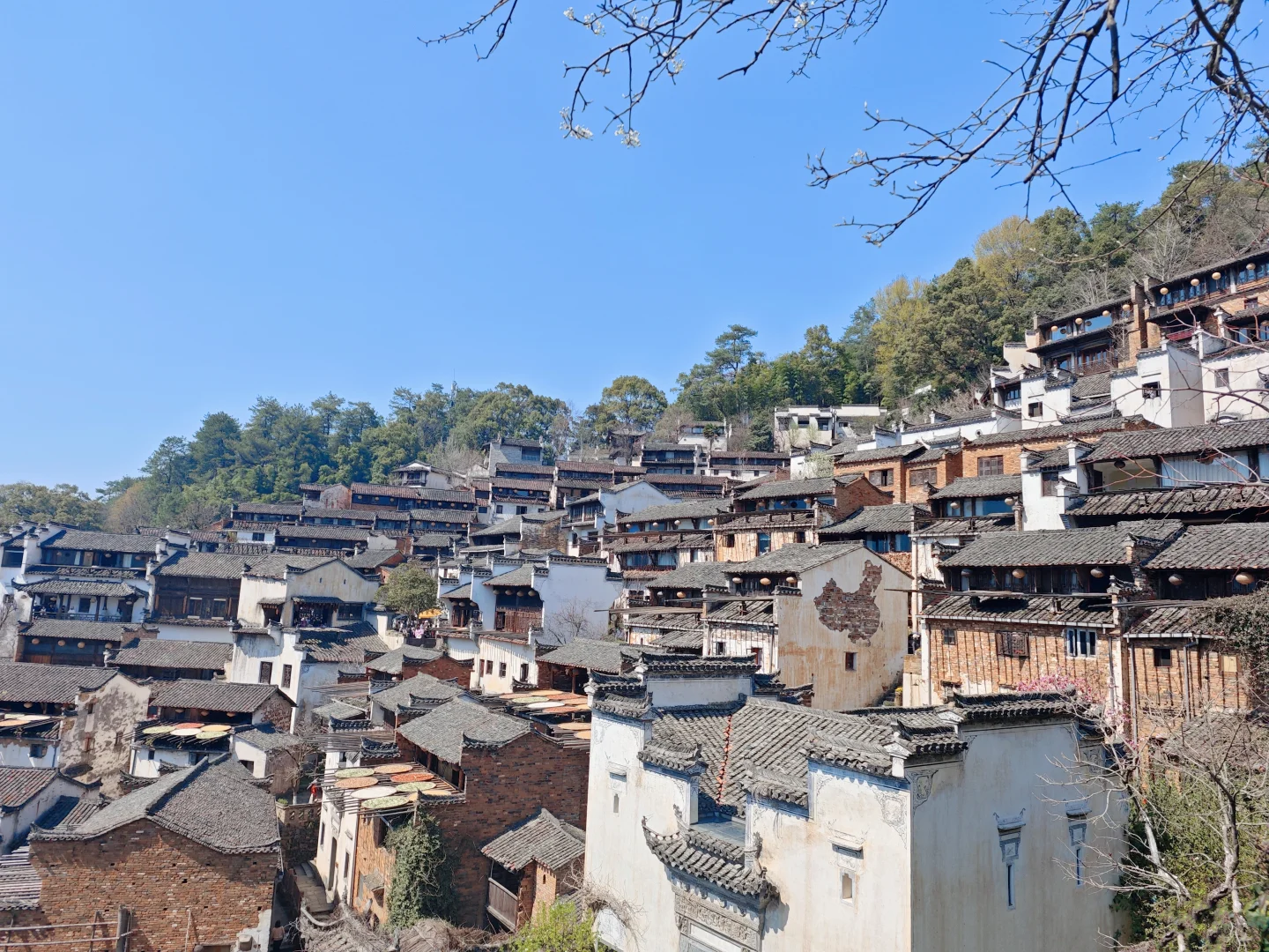 景德镇+婺源+黄山旅游攻略