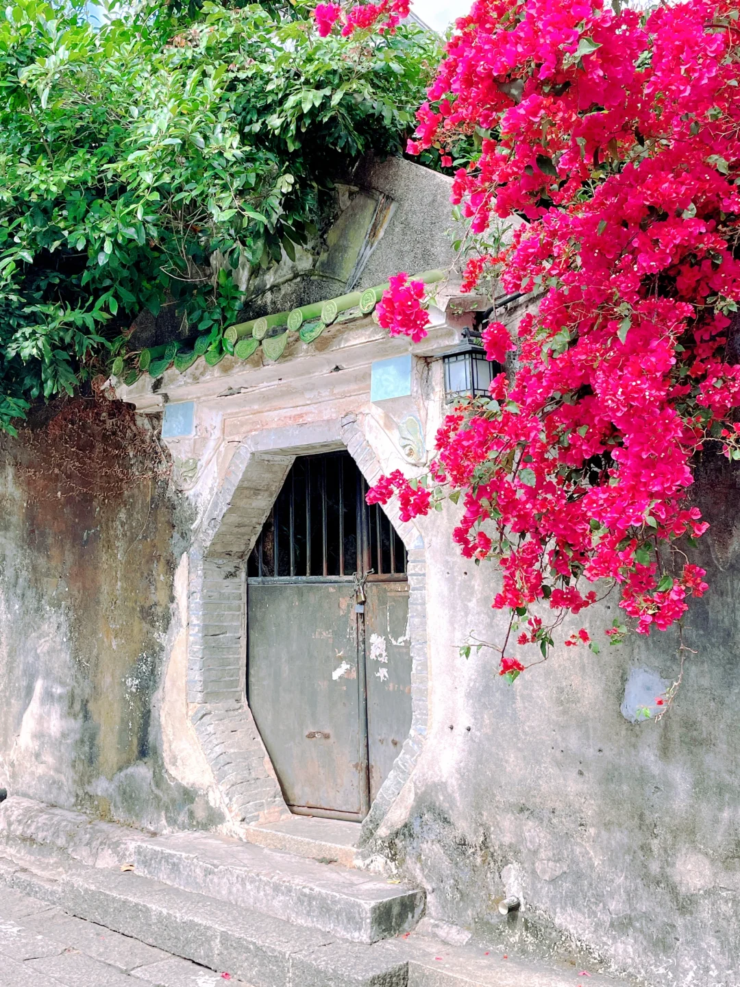 这里不是云南！是深圳！！这一次去有风的地方~