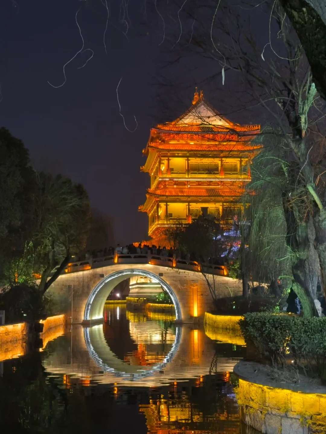 3.22实拍！台儿庄桃花迎来巅峰