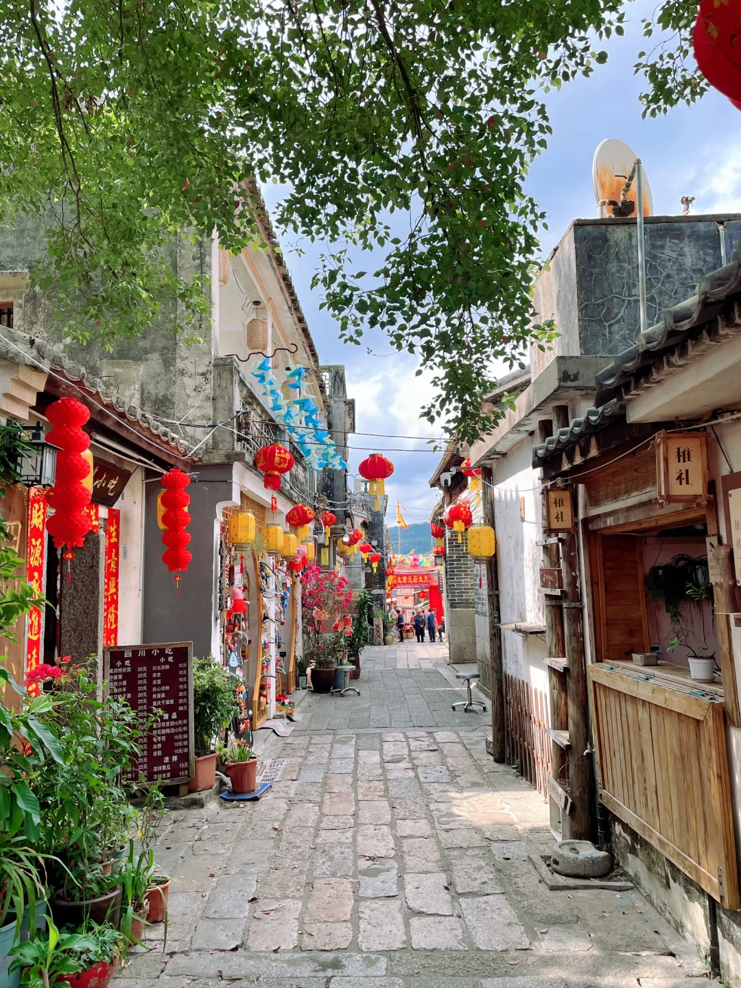 这里不是云南！是深圳！！这一次去有风的地方~