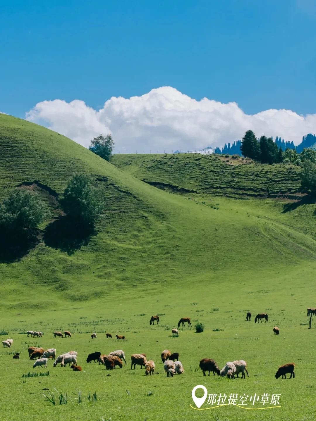 即将解封📍强推伊犁那拉提这个神级景点😭
