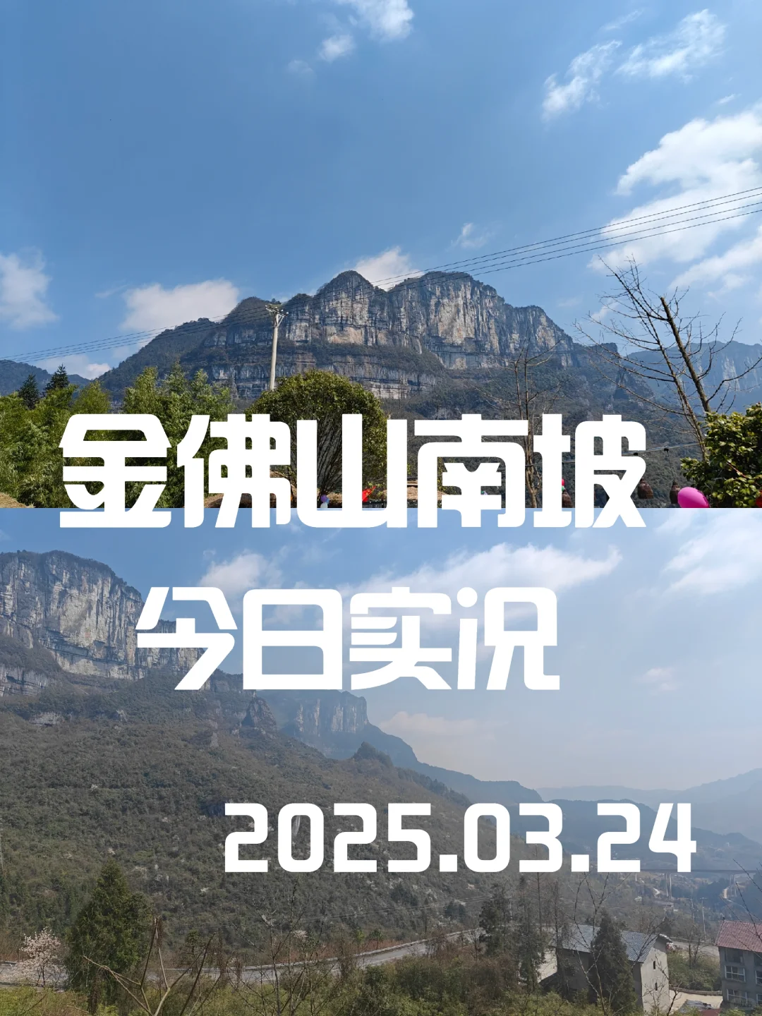 金佛山景区攻略请查收｜今日晴，来打野！