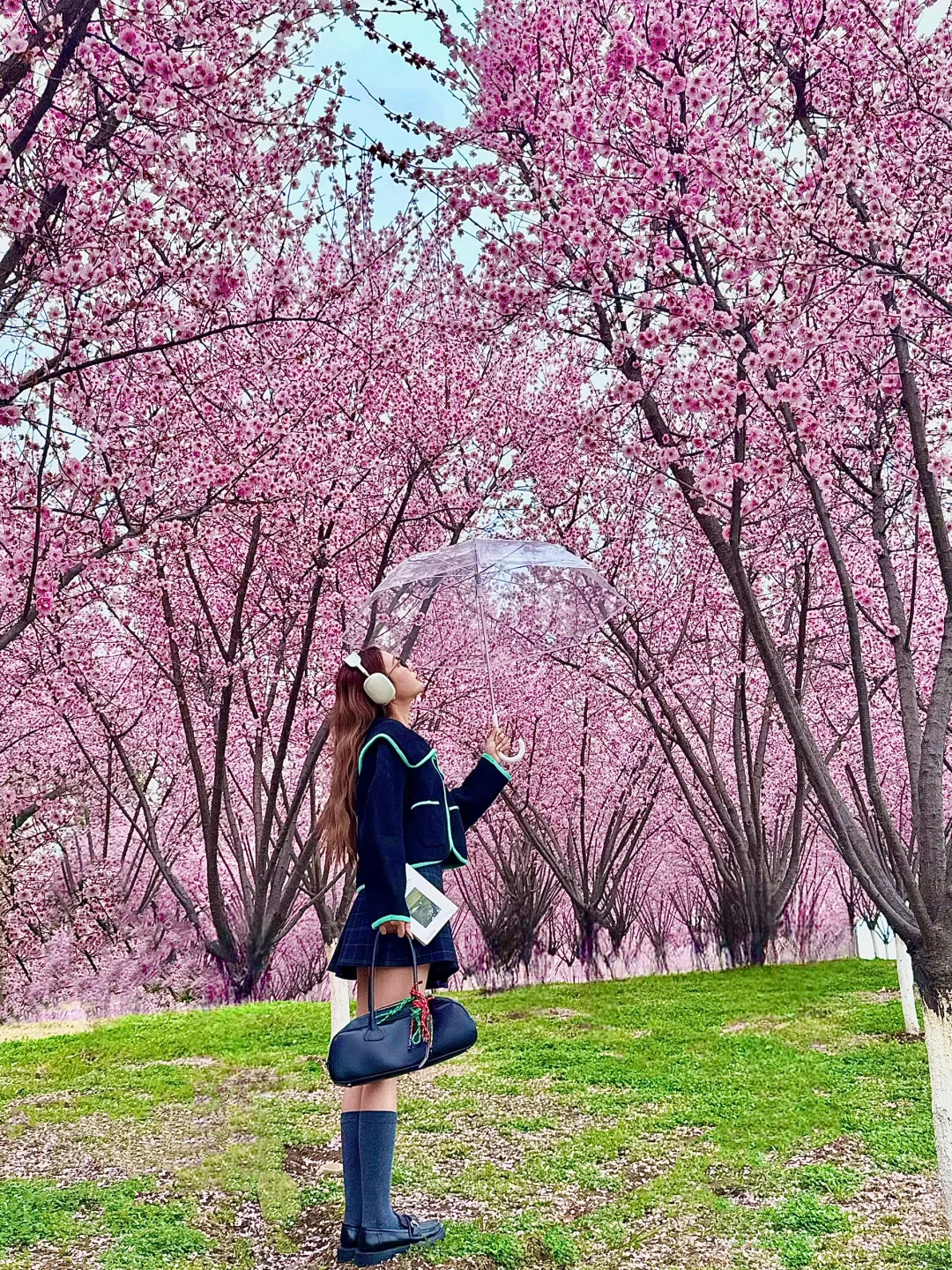 南京。。。果然最牛逼的地方都是免费的（附地址