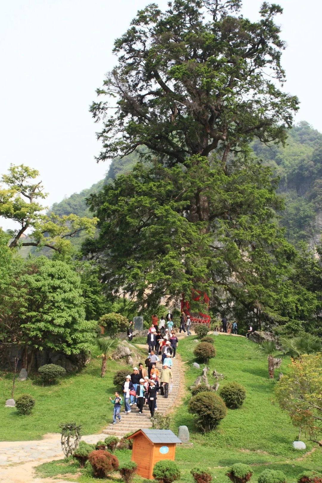 上古顶流再就业！神农坛开园啦！