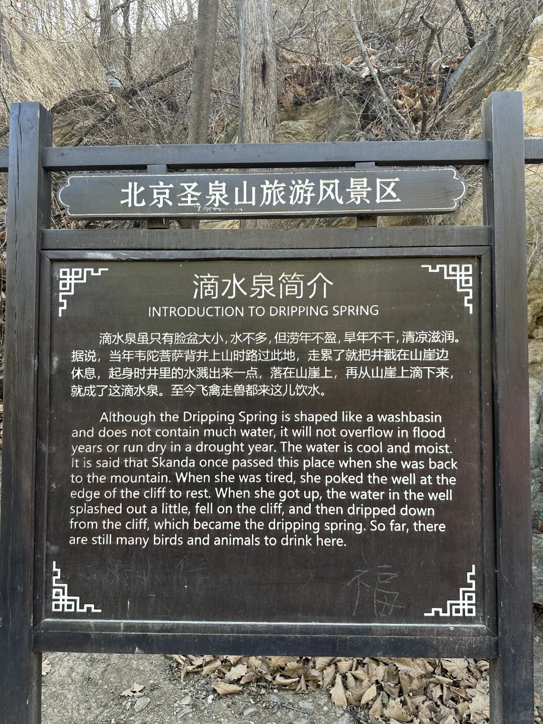 ✨每周一山｜低幼亲子徒步，不负春日好时光！