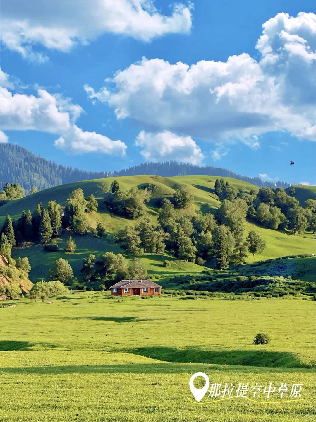 即将解封📍强推伊犁那拉提这个神级景点😭