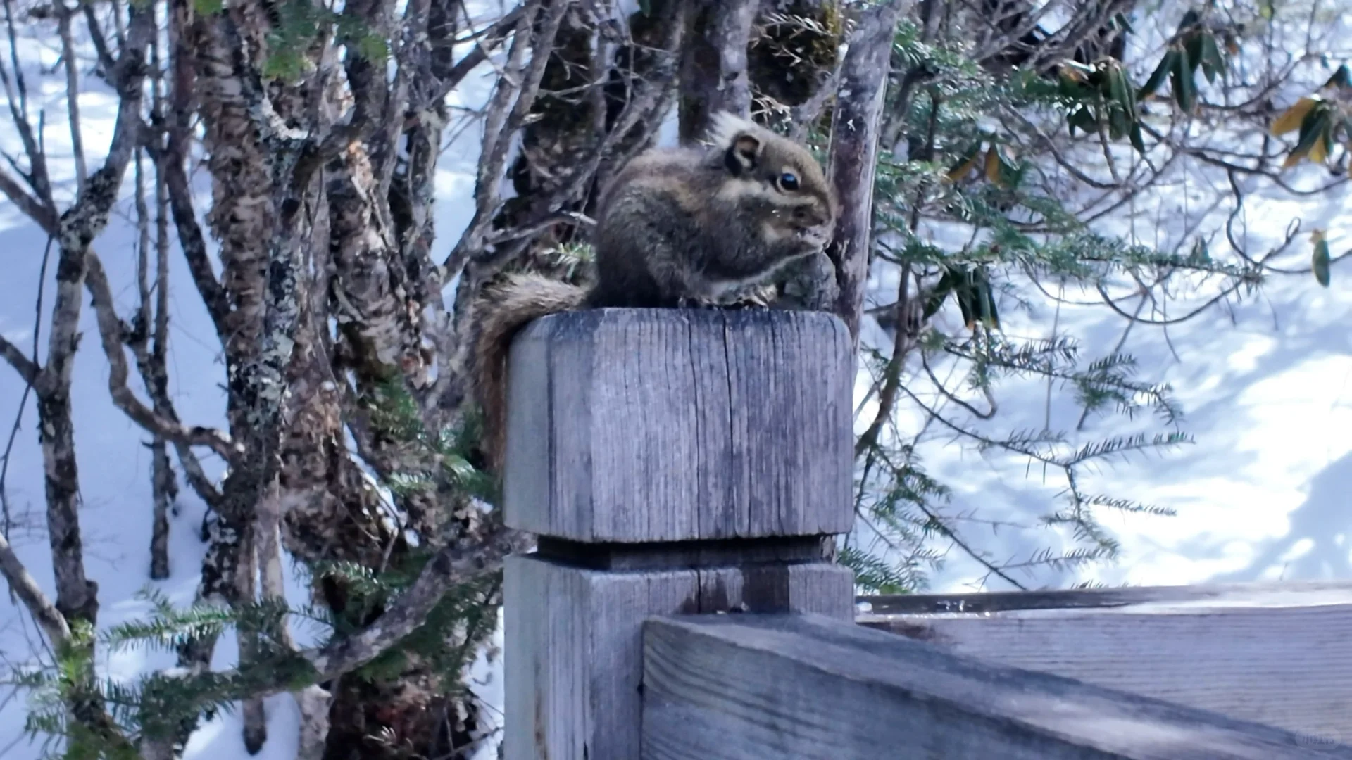 九寨沟是真的好看