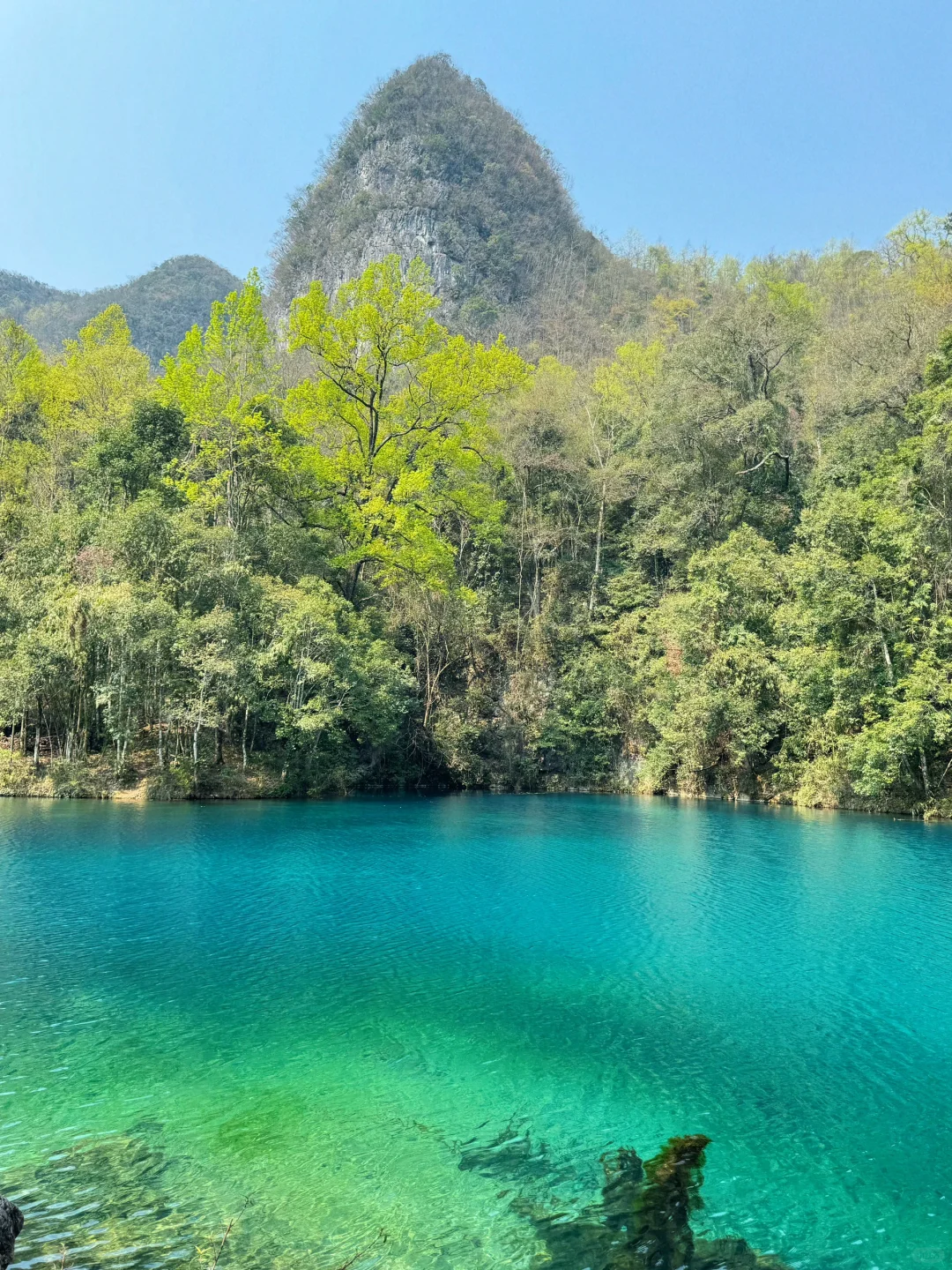 📍荔波 | 坠入人间绿宝石！ 太美啦～