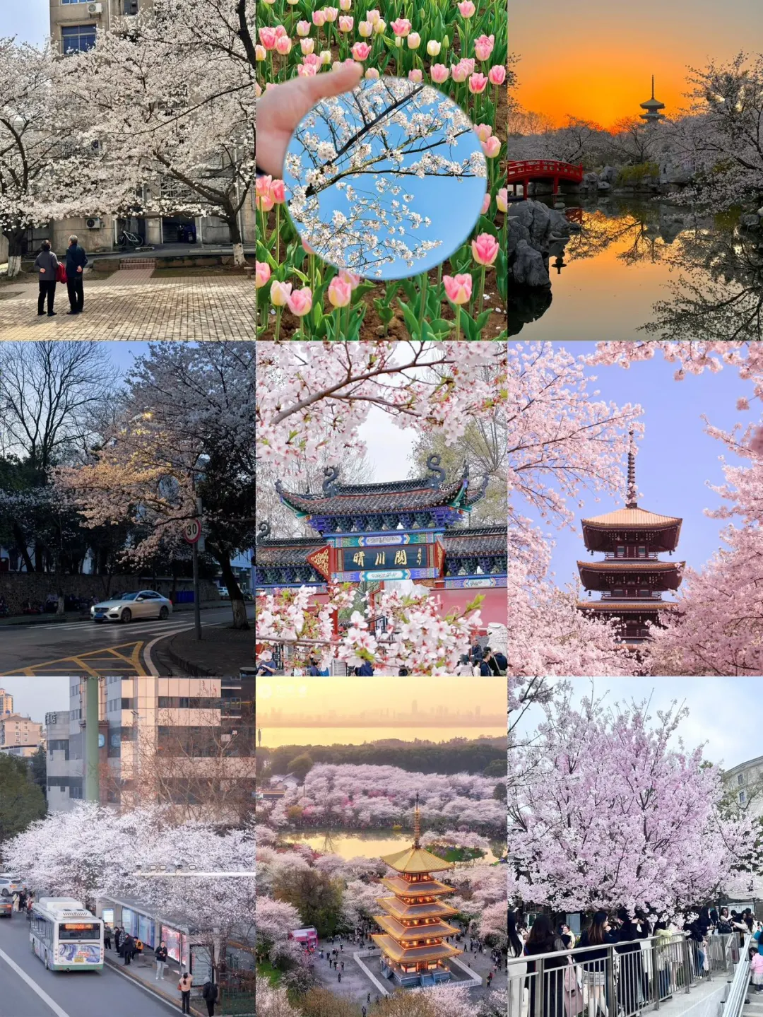 武汉已回….只想说一些难听的大实话……