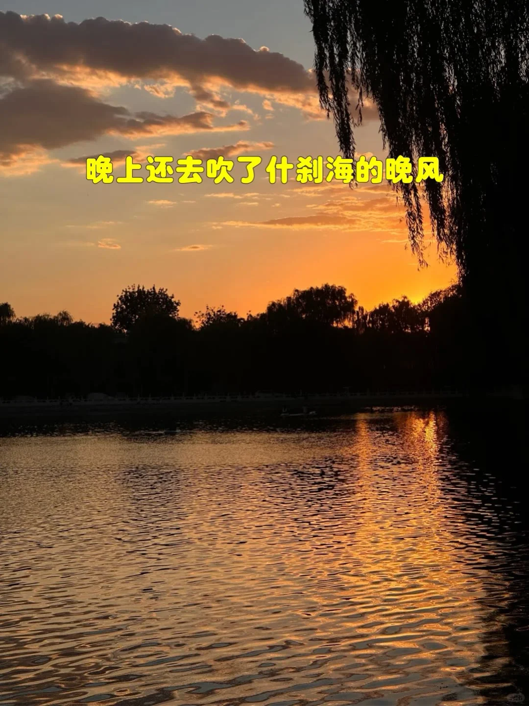 一起带爸妈去旅行吧✈️✈️