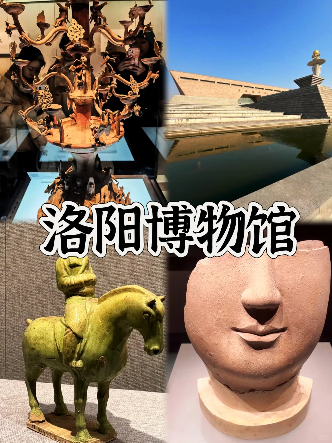 03女大📍洛阳/三天二夜详细版旅游攻略❗️