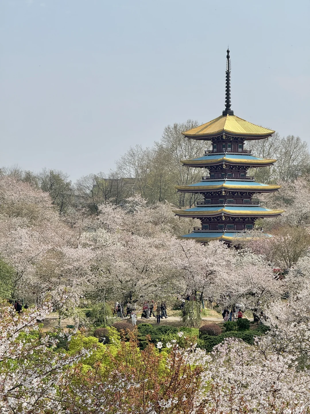 武汉已回。。。真诚提醒还未出行的😢😢😢