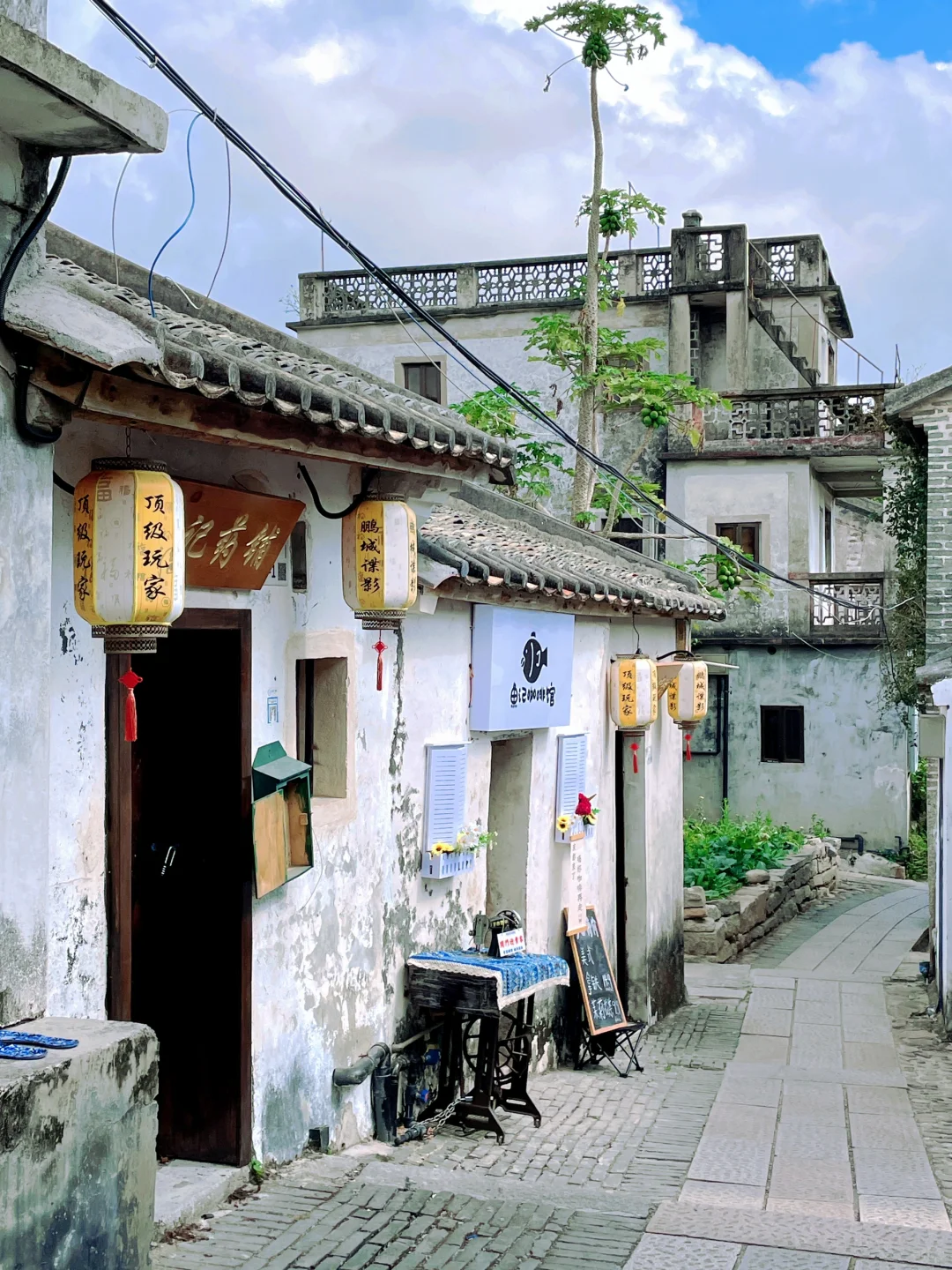 这里不是云南！是深圳！！这一次去有风的地方~