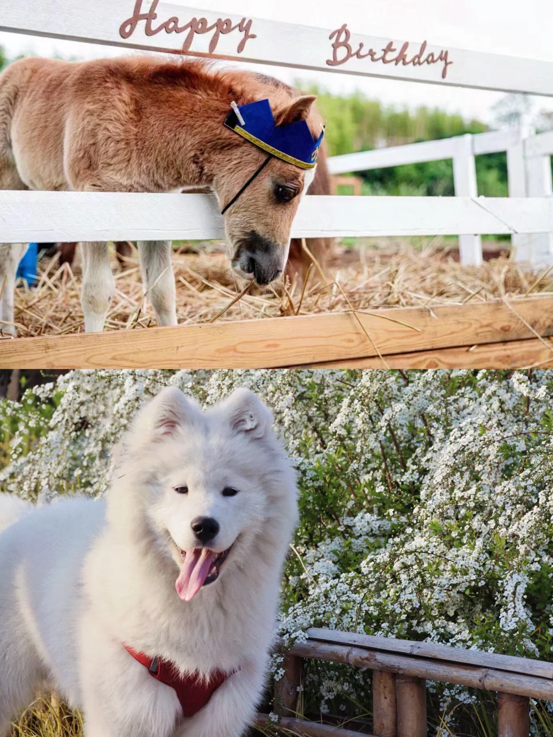 逃离城市计划|宜兴大有秋息壤酒店🍃