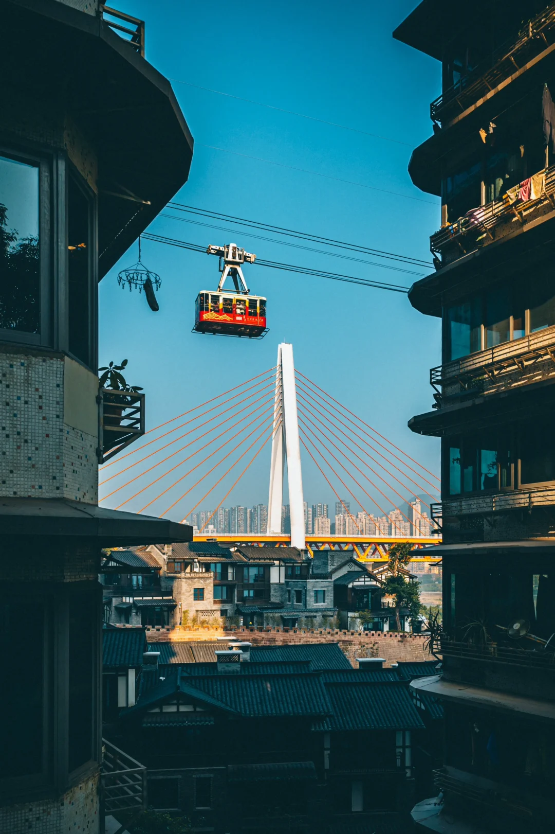 30分钟get重庆白象居9️⃣个大片机位～ 码住！