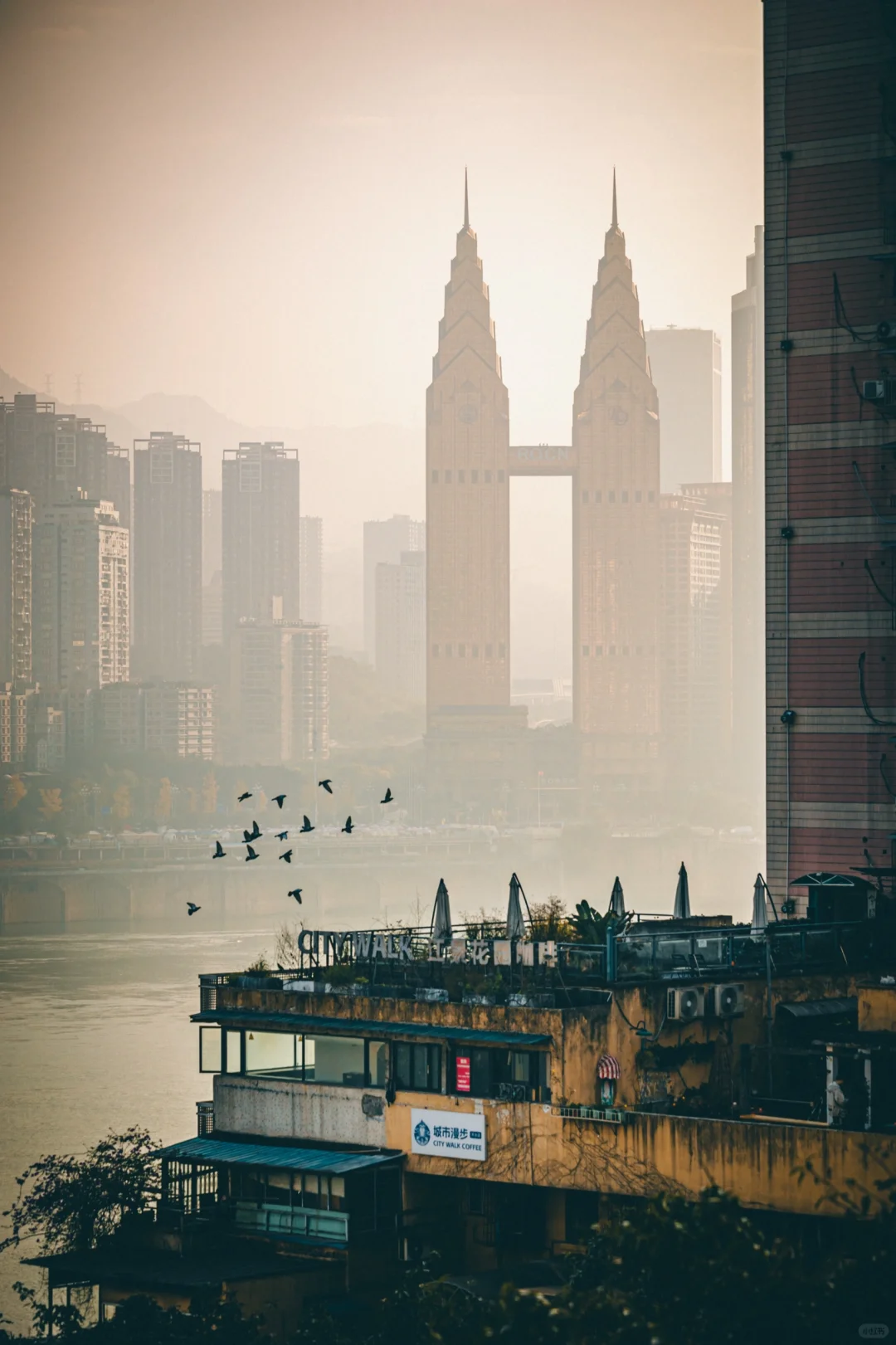 30分钟get重庆白象居9️⃣个大片机位～ 码住！