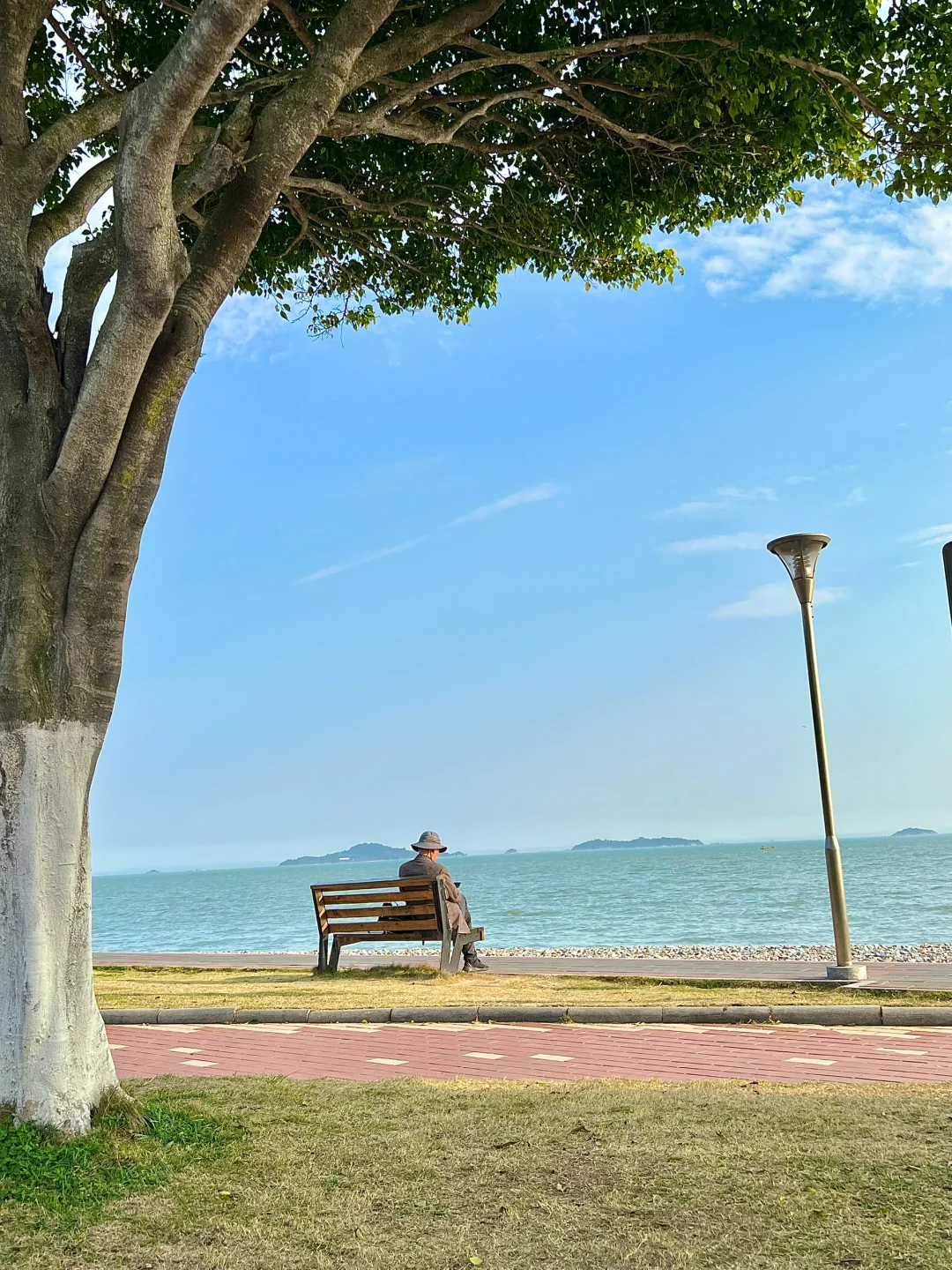 厦门最好的地方都是免费的……