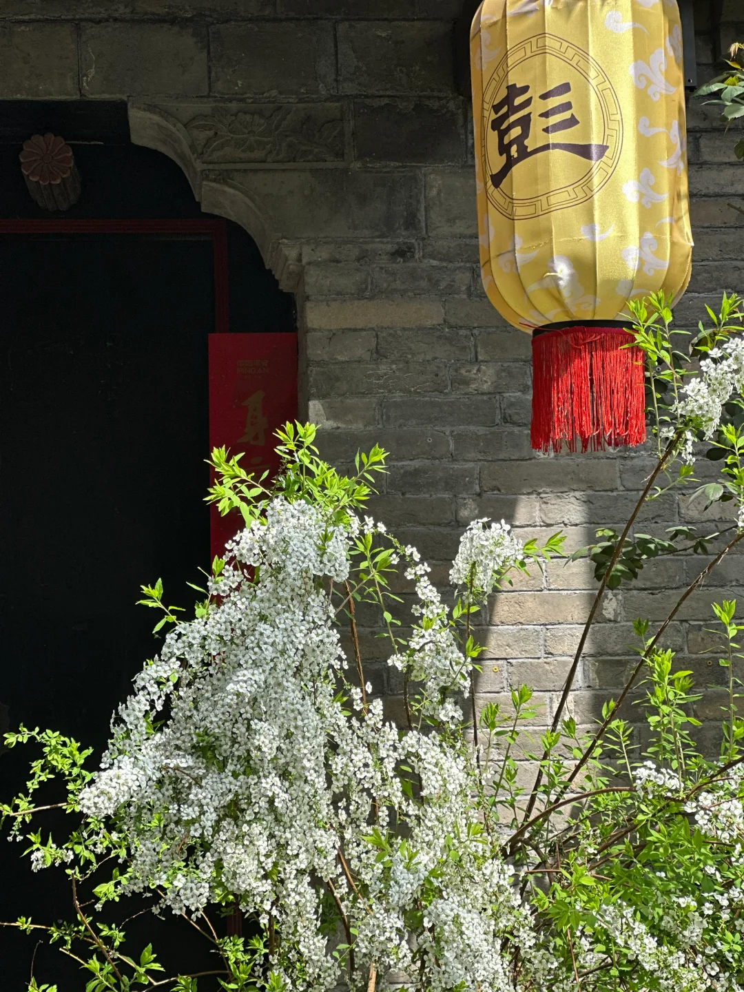 徐州2天一夜旅游攻略（刚从徐州回来版）