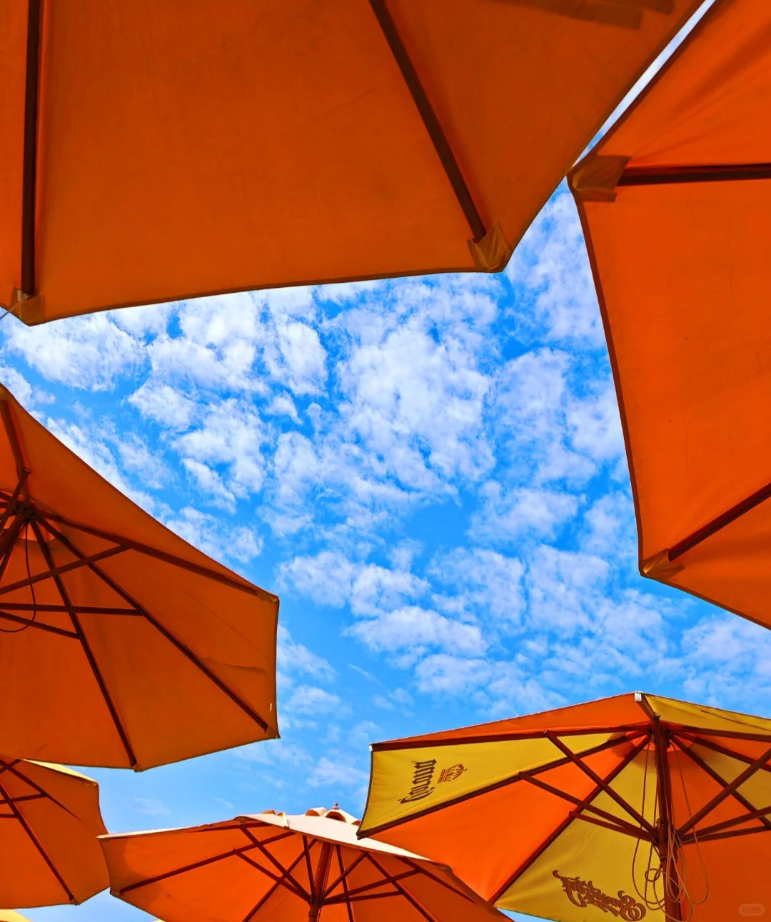 听劝,汕尾会惩罚每一个不做攻略的人❗