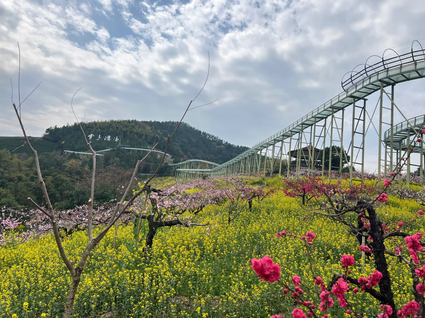 周末逃离江浙沪之三月赏桃花