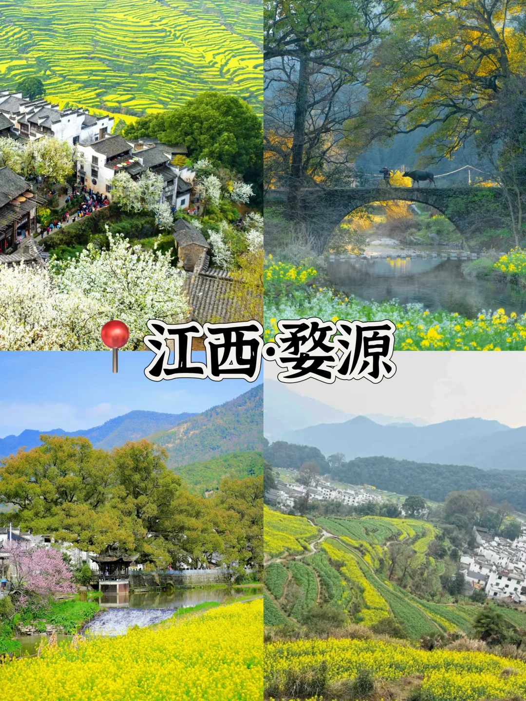 听劝‼️3-5月旅游一定来这🔟个城市感受春天