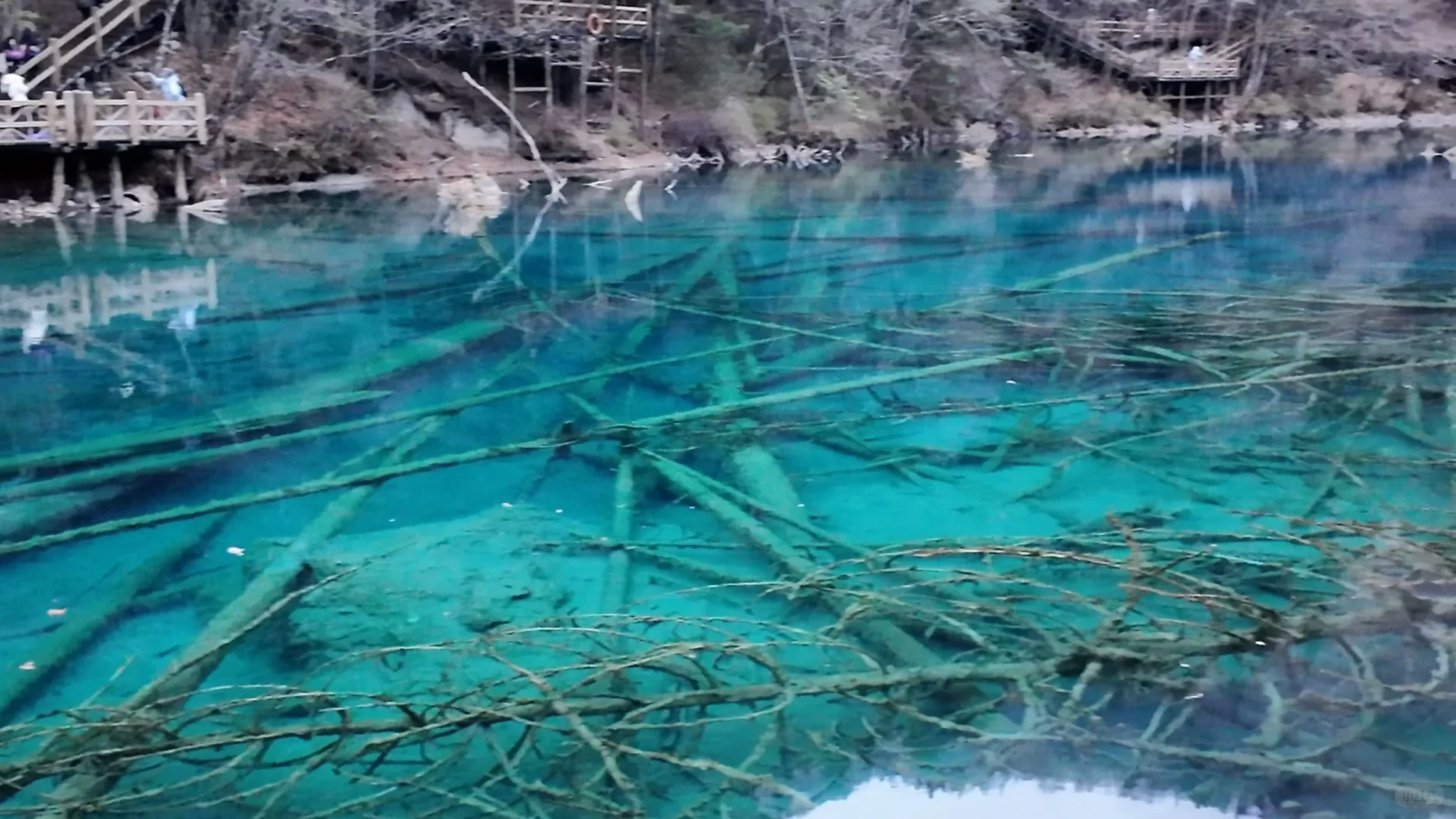 九寨沟是真的好看