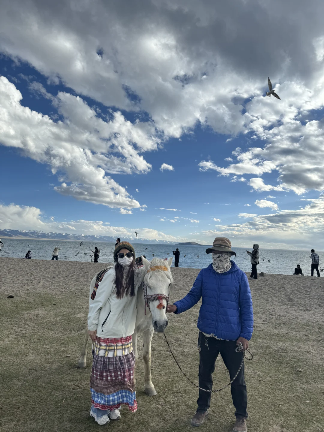 西藏女大穷游已回，完全版旅游攻略｜保姆级