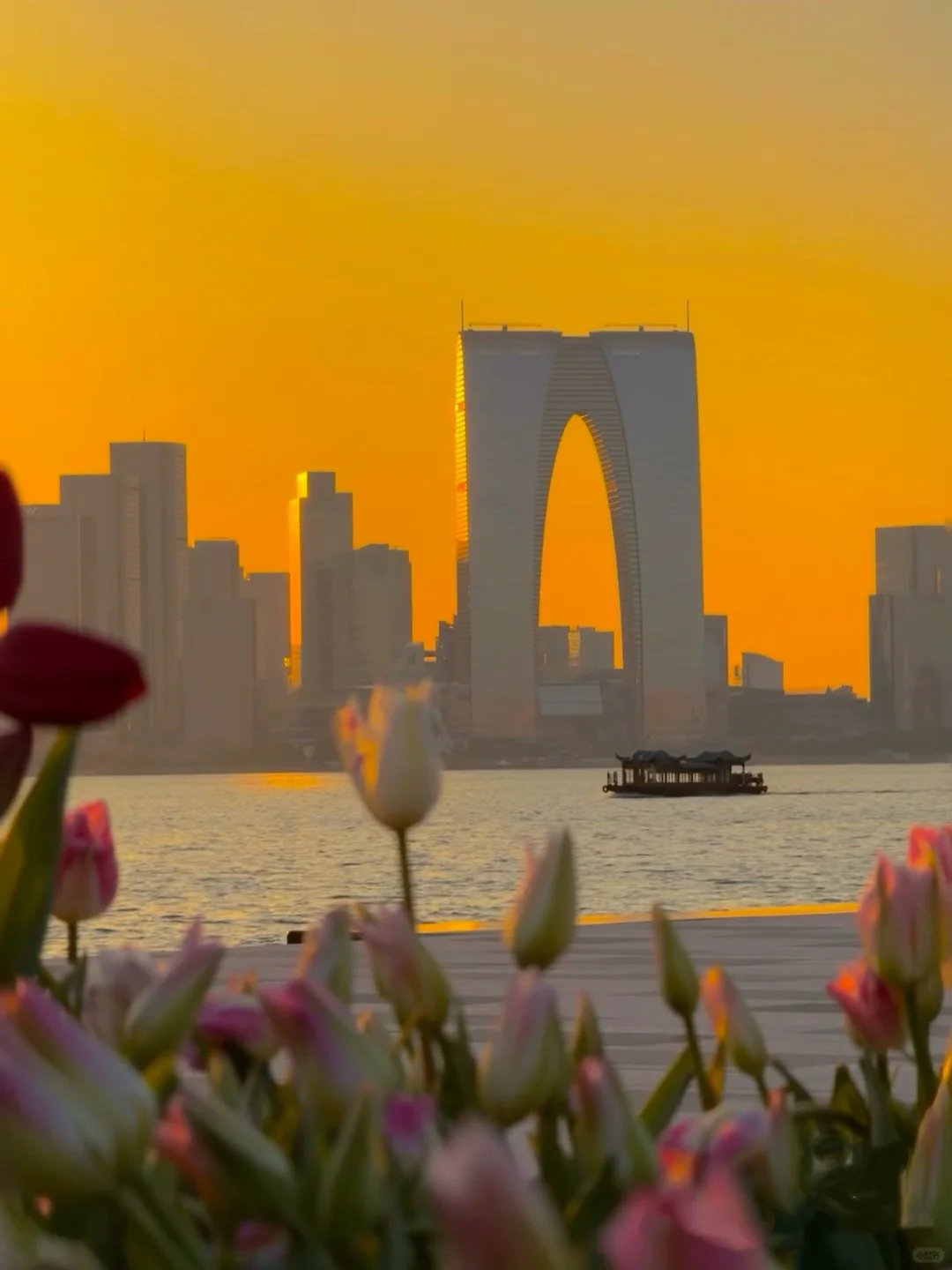 每个来姑苏的朋友都会被我带来这里......