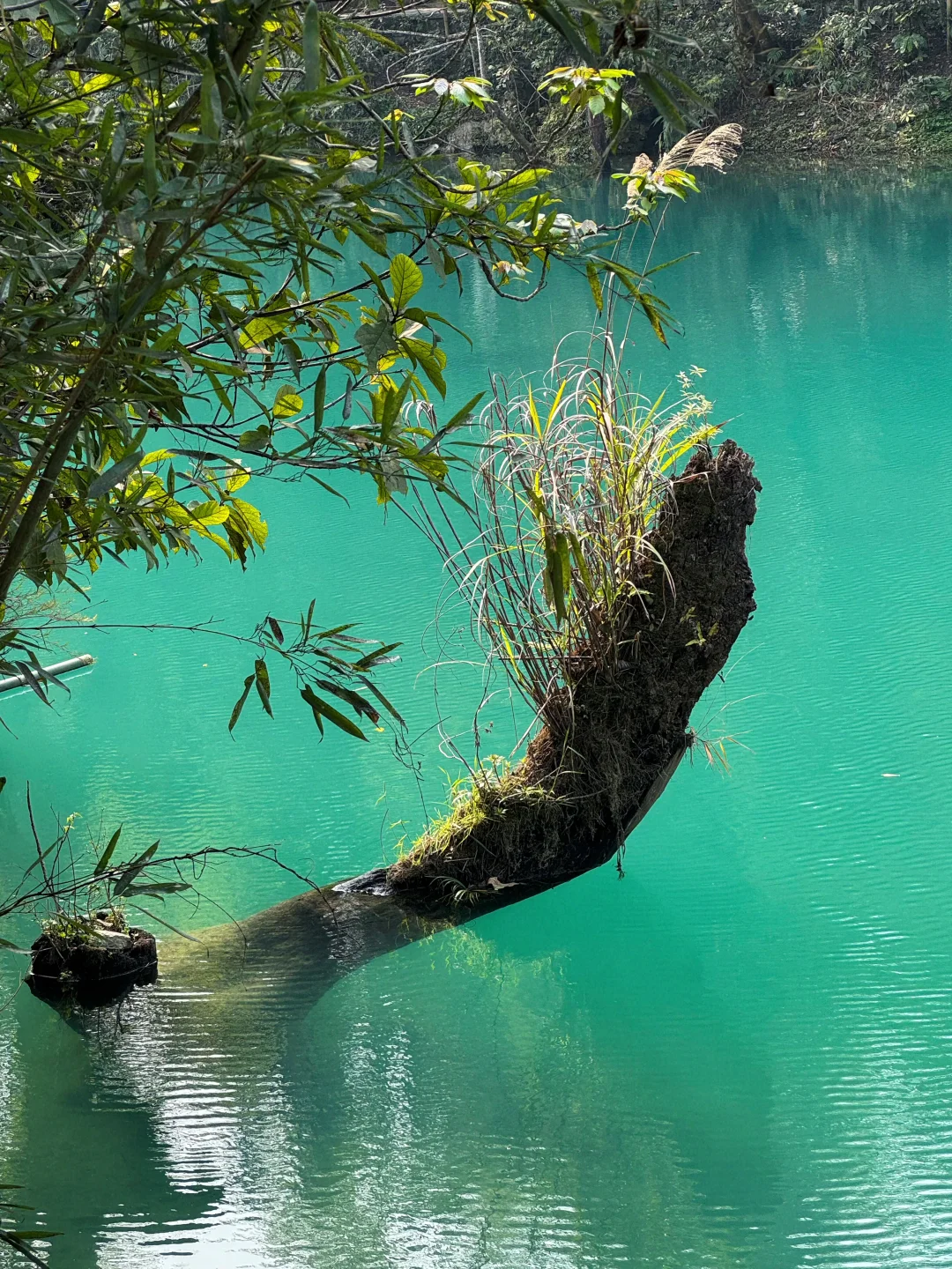 📍荔波 | 坠入人间绿宝石！ 太美啦～