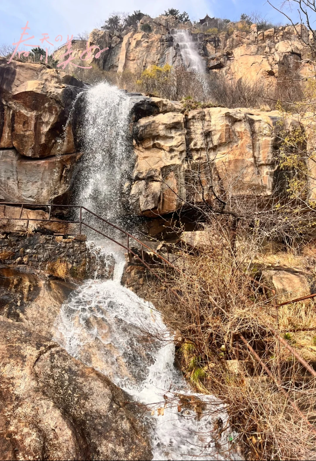 天蒙山一日游攻略🎈学生免票春日限定版