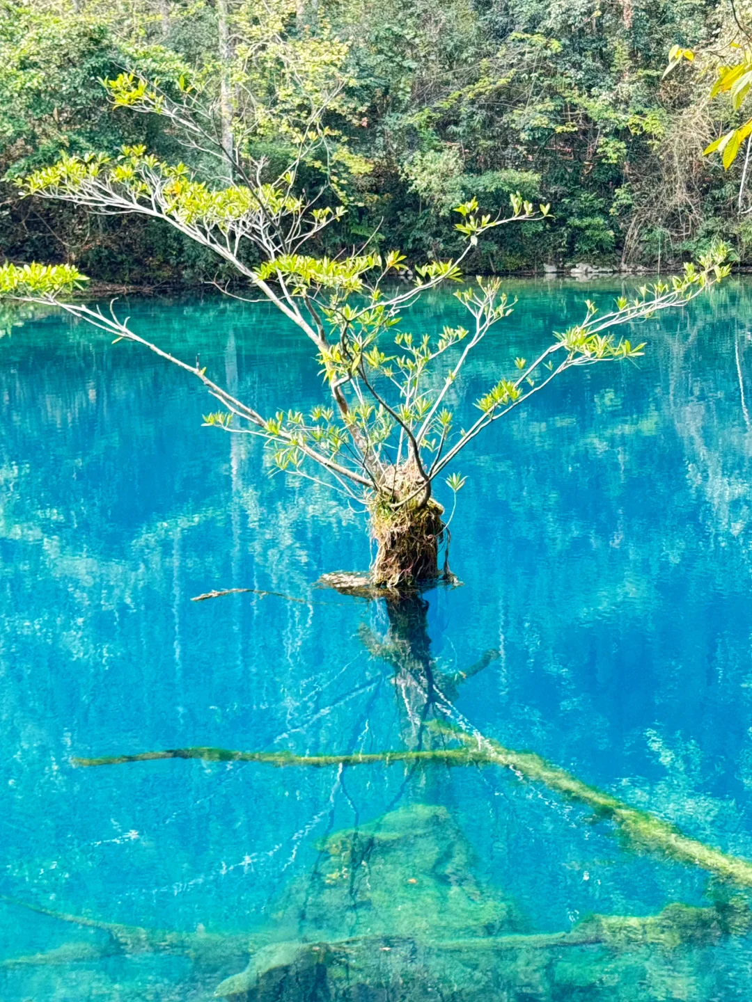 📍荔波 | 坠入人间绿宝石！ 太美啦～