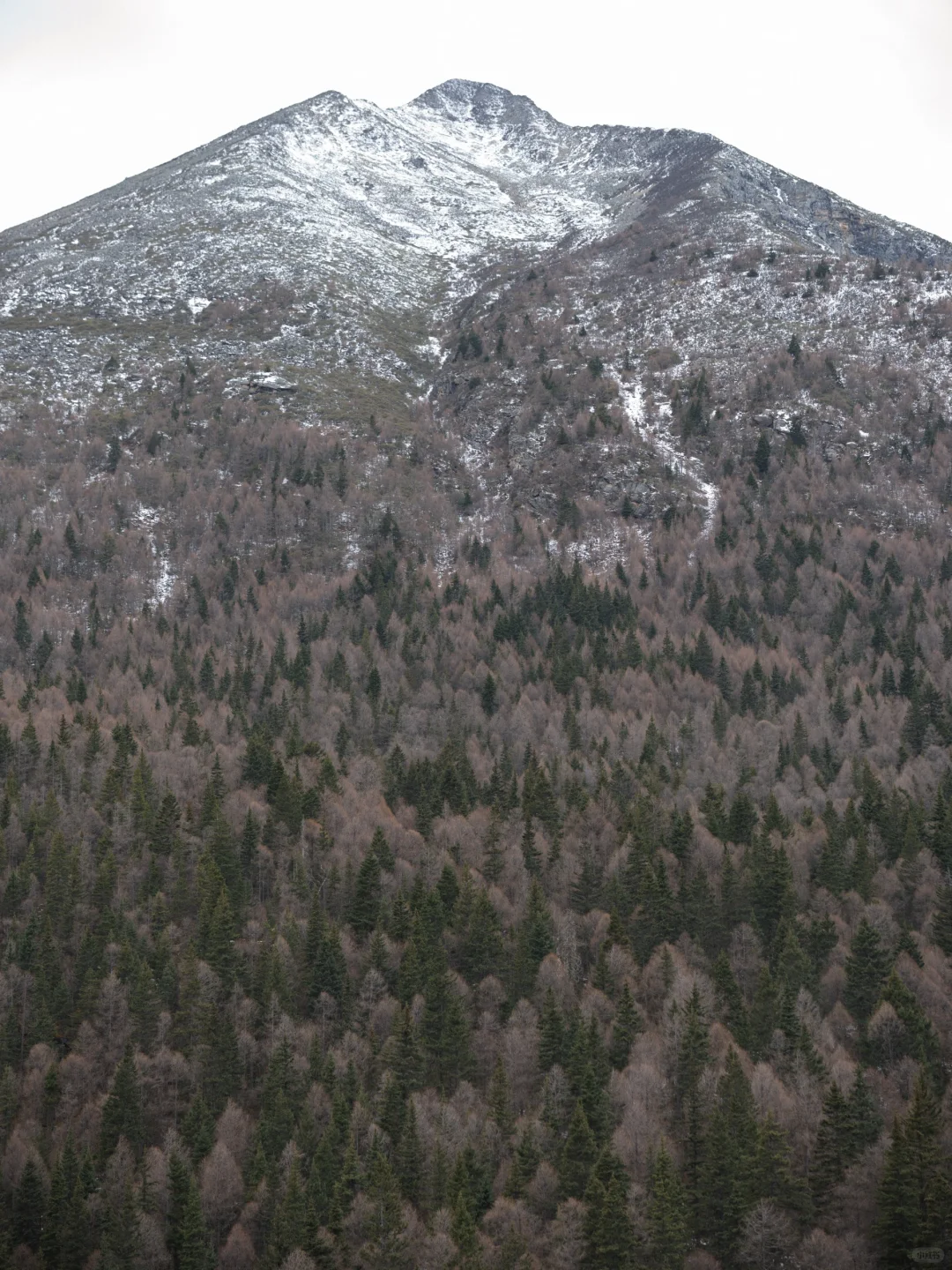 川西小环线｜雅拉雪山