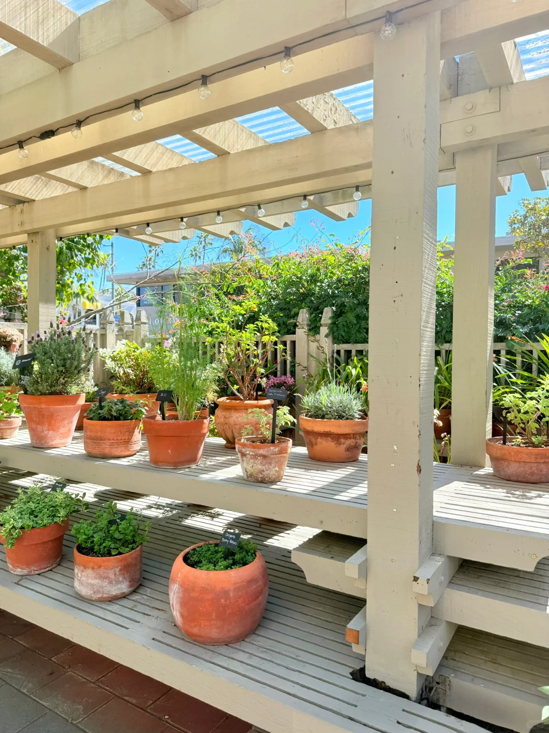 尔湾周边景点｜在Newport花的最值的5刀🌼