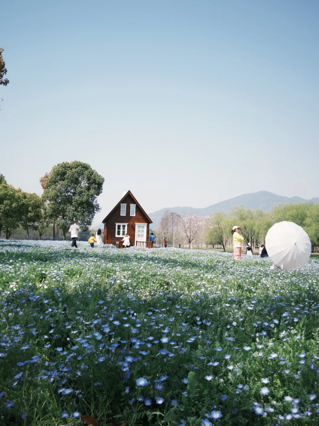 临海灵湖网红小木屋🏡