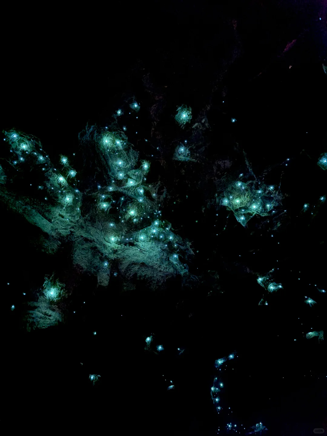 一个人澳洲玩12天1W➕,自由行,不拼房玩挺好