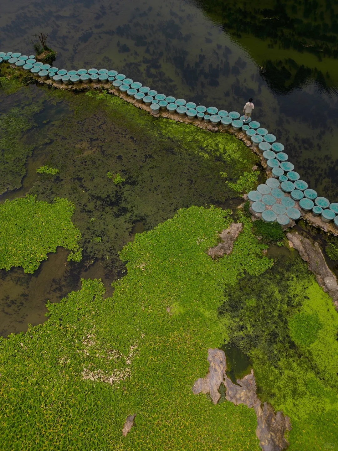 本来以为桂林够美了，直到我到了百色靖西