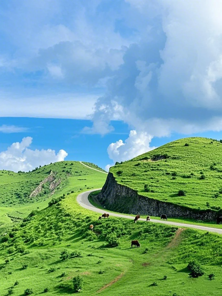 真的在广东！我走过最舒服的高山草甸徒步线