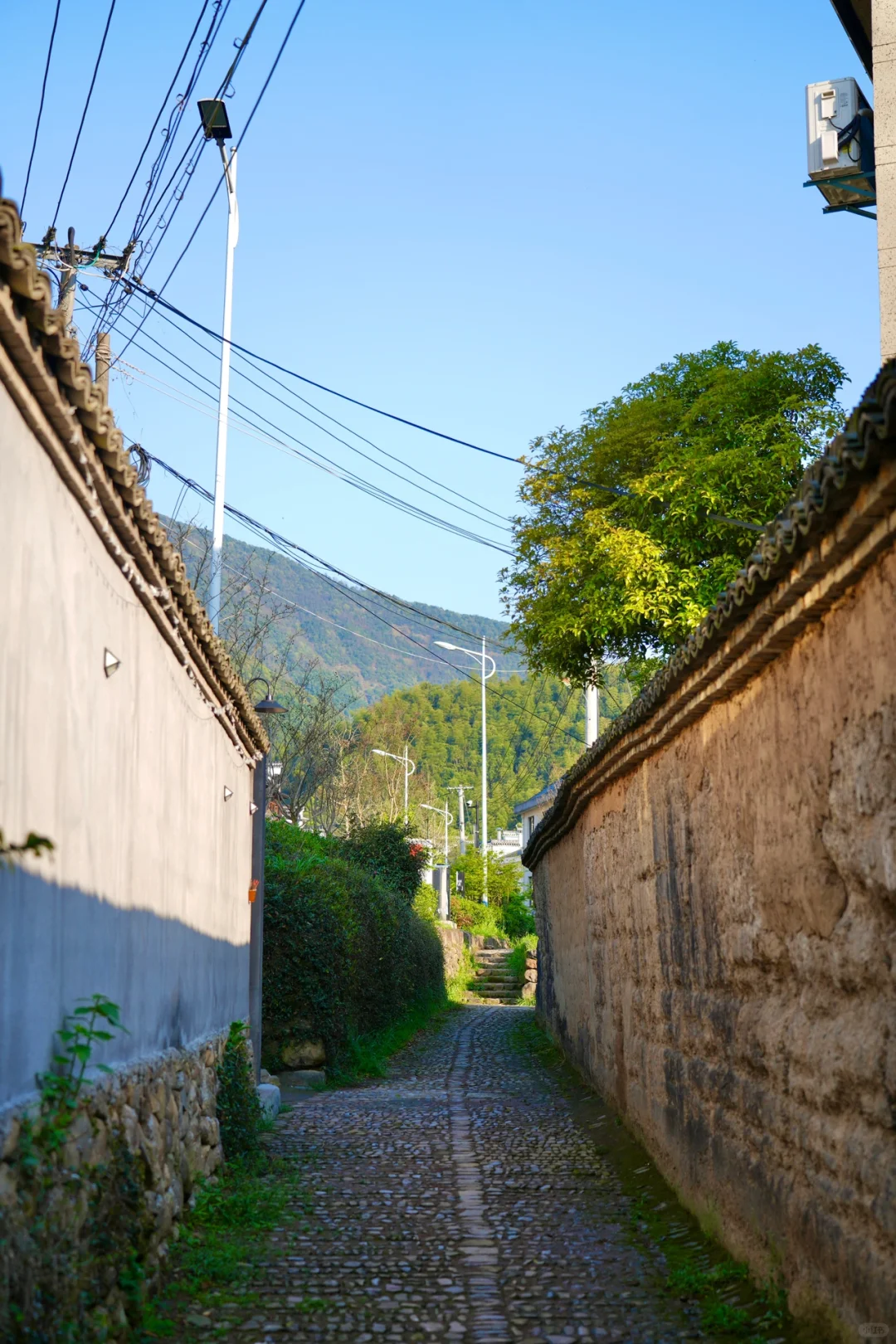 后悔为什么现在才去桐庐😭，两天一晚休闲游