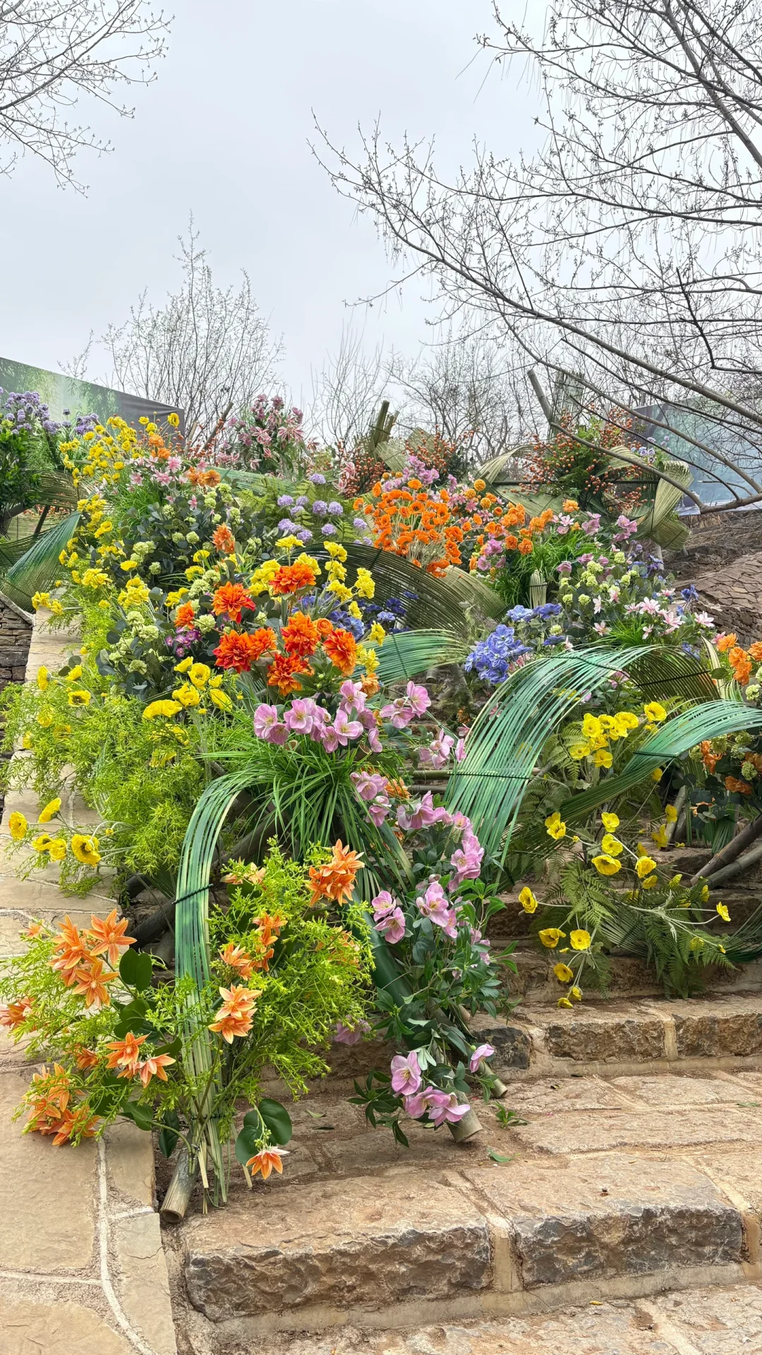 诚挚的给枣庄人一个建议