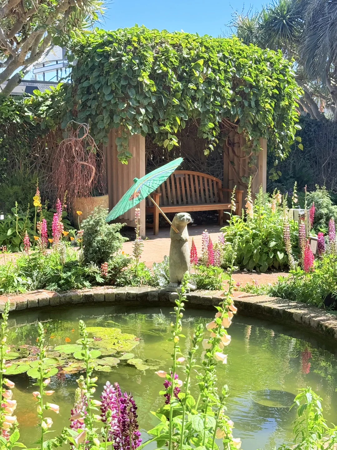 尔湾周边景点｜在Newport花的最值的5刀🌼