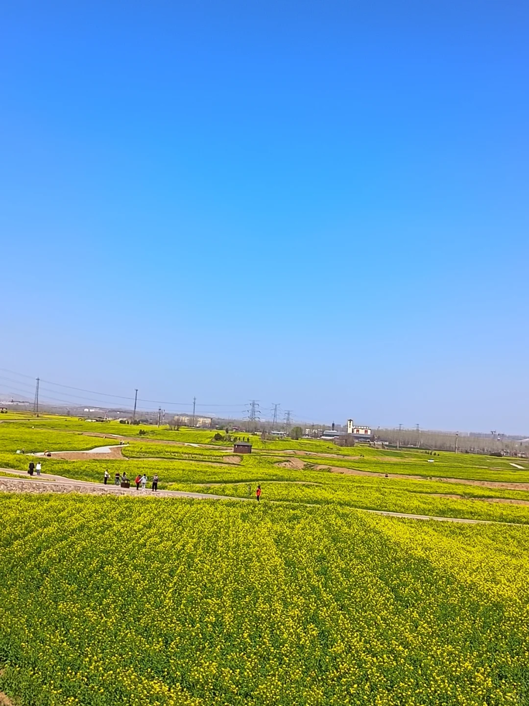 这不是婺源，这是邢台沙河红薯岭