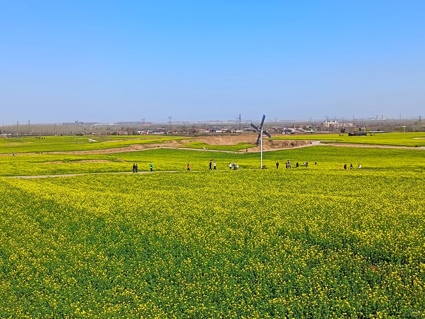 这不是婺源，这是邢台沙河红薯岭